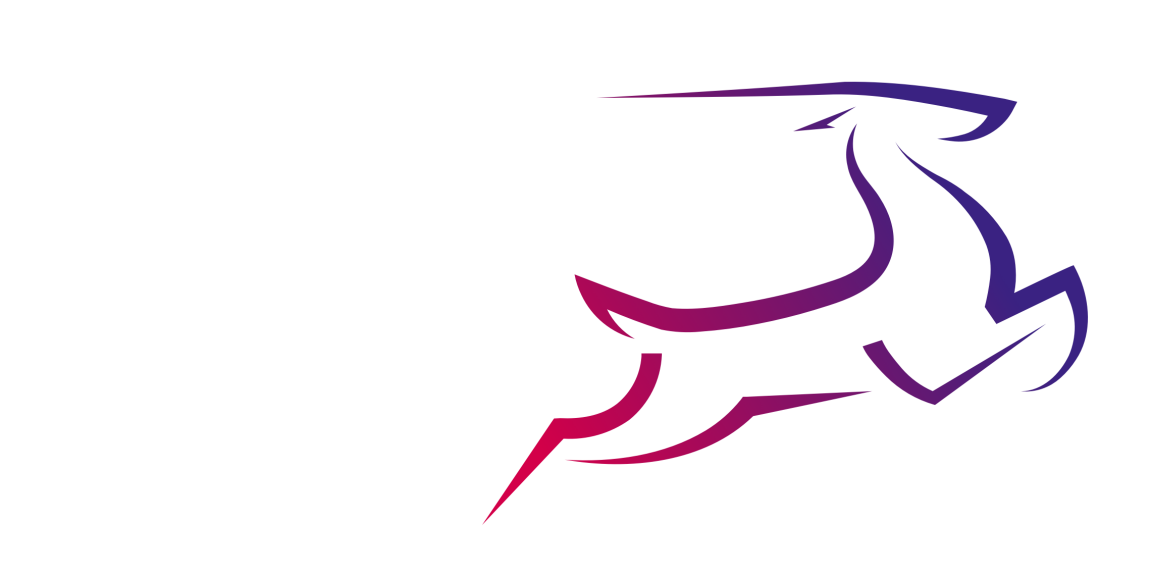 Syntegro icon