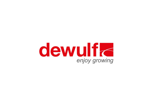 Dewulf