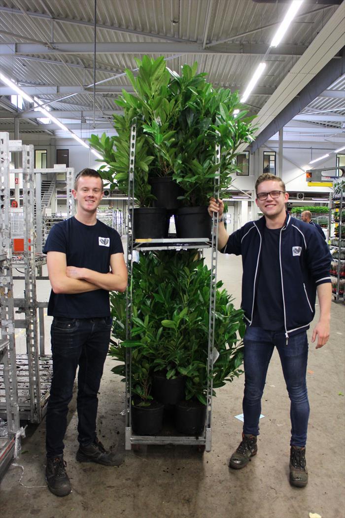 Een geïntegreerde gebruiksvriendelijke oplossing voor een complexe organisatie extra image 3